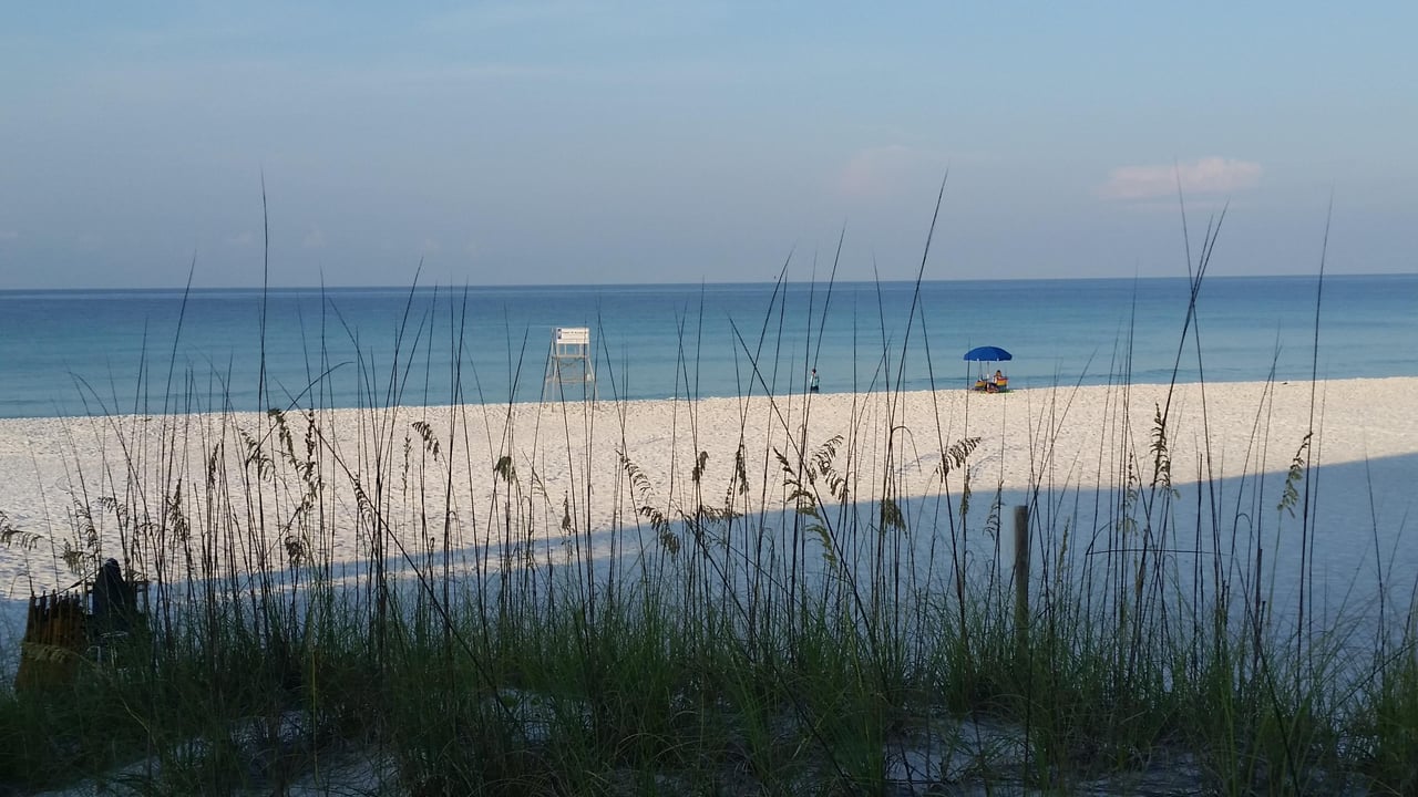 152990 Mark D Beach