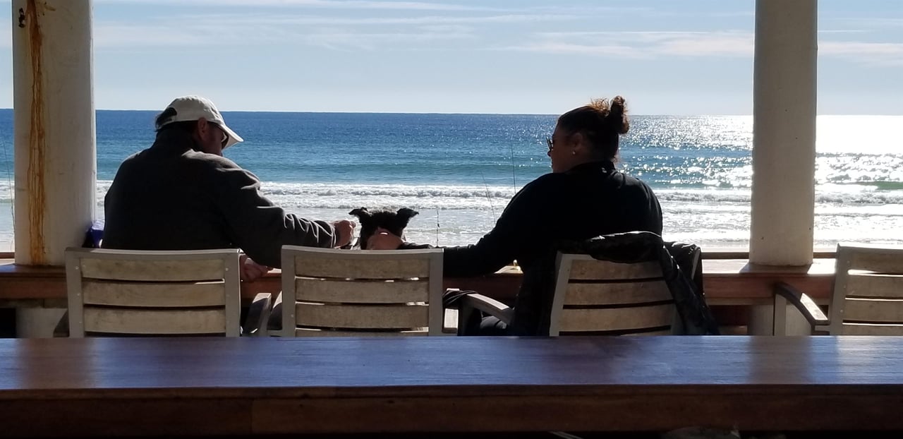 1616259 Dog At Crab Trap