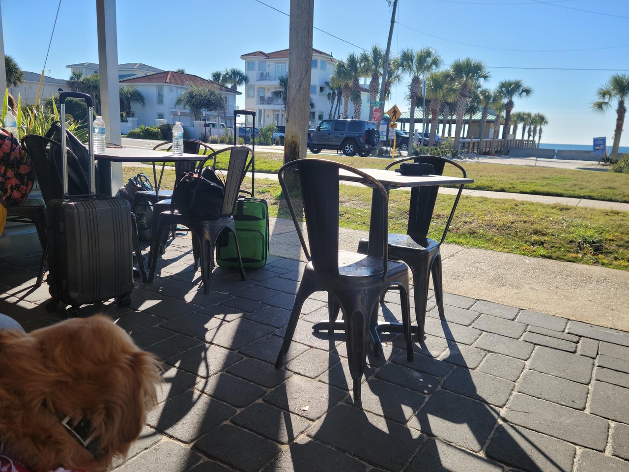 Camilles  Fido Point of View