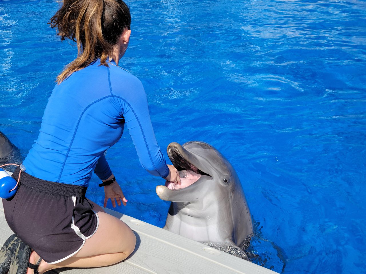 Gulfarium