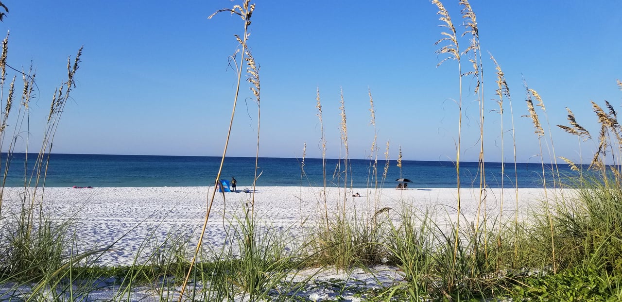 Fall at the beach 2019
