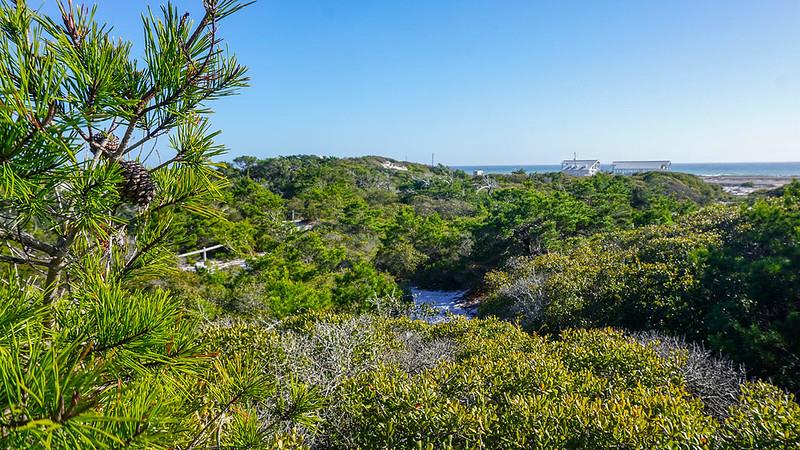 Henderson Beach SP