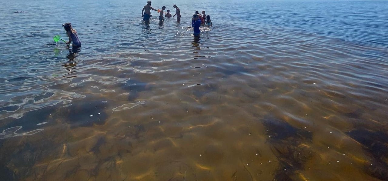 Wading