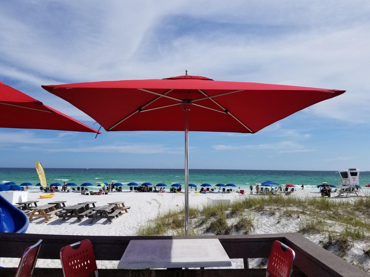 2019 Crab Trap