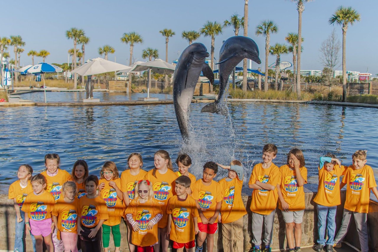 a group of people posing for a photo with a dolphin jumping out of the water