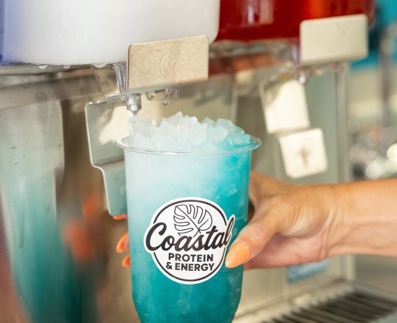 2262748 A Hand Holding A Plastic Cup