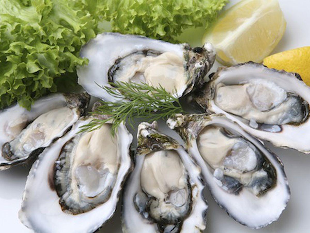 oysters
