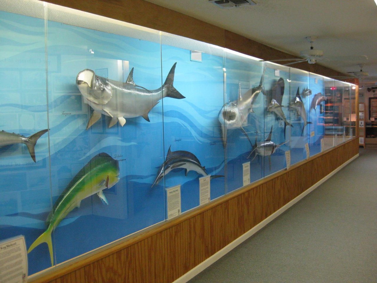 destinfishingmuseumfish