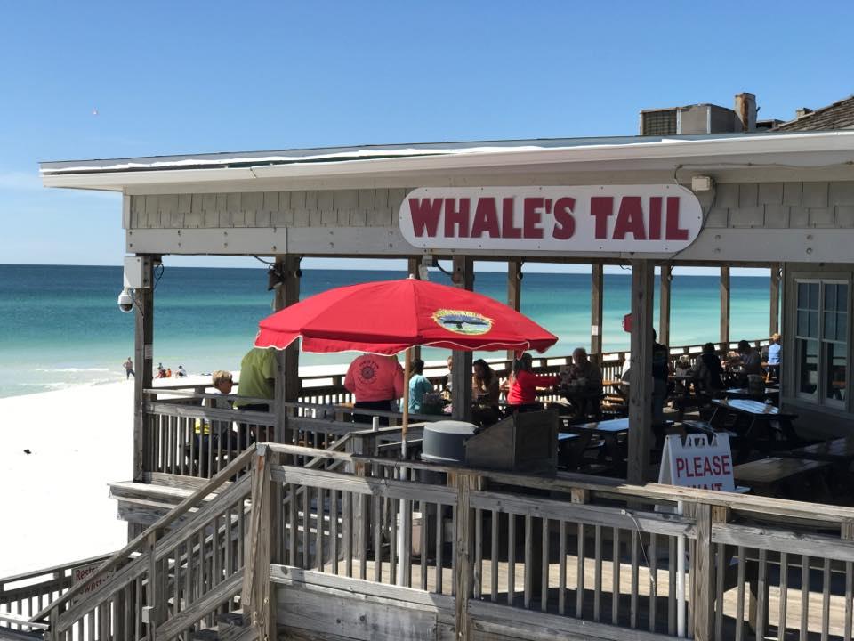 Whales Tail