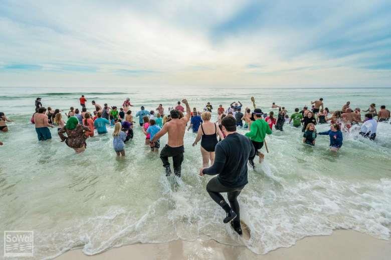 Polar Plunge