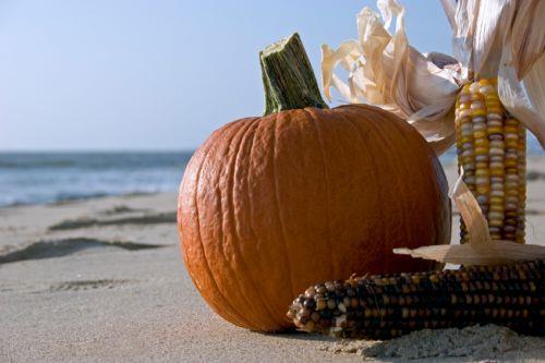 763906 Pumpkin_on_beach