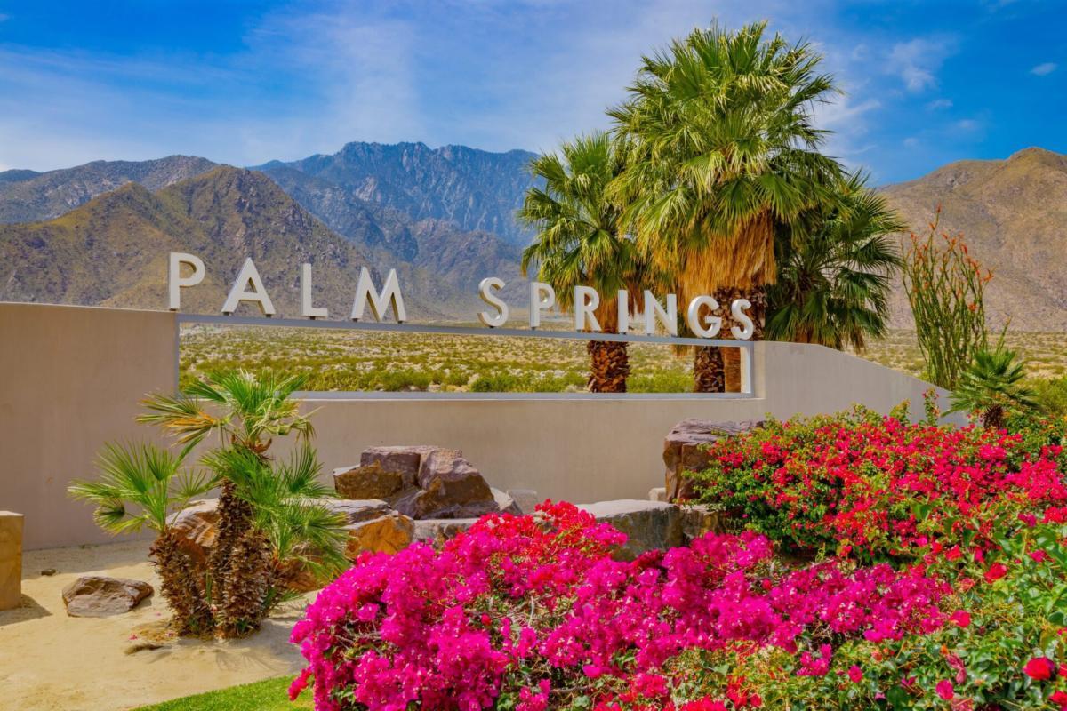 532650 Palm Springs In Spring