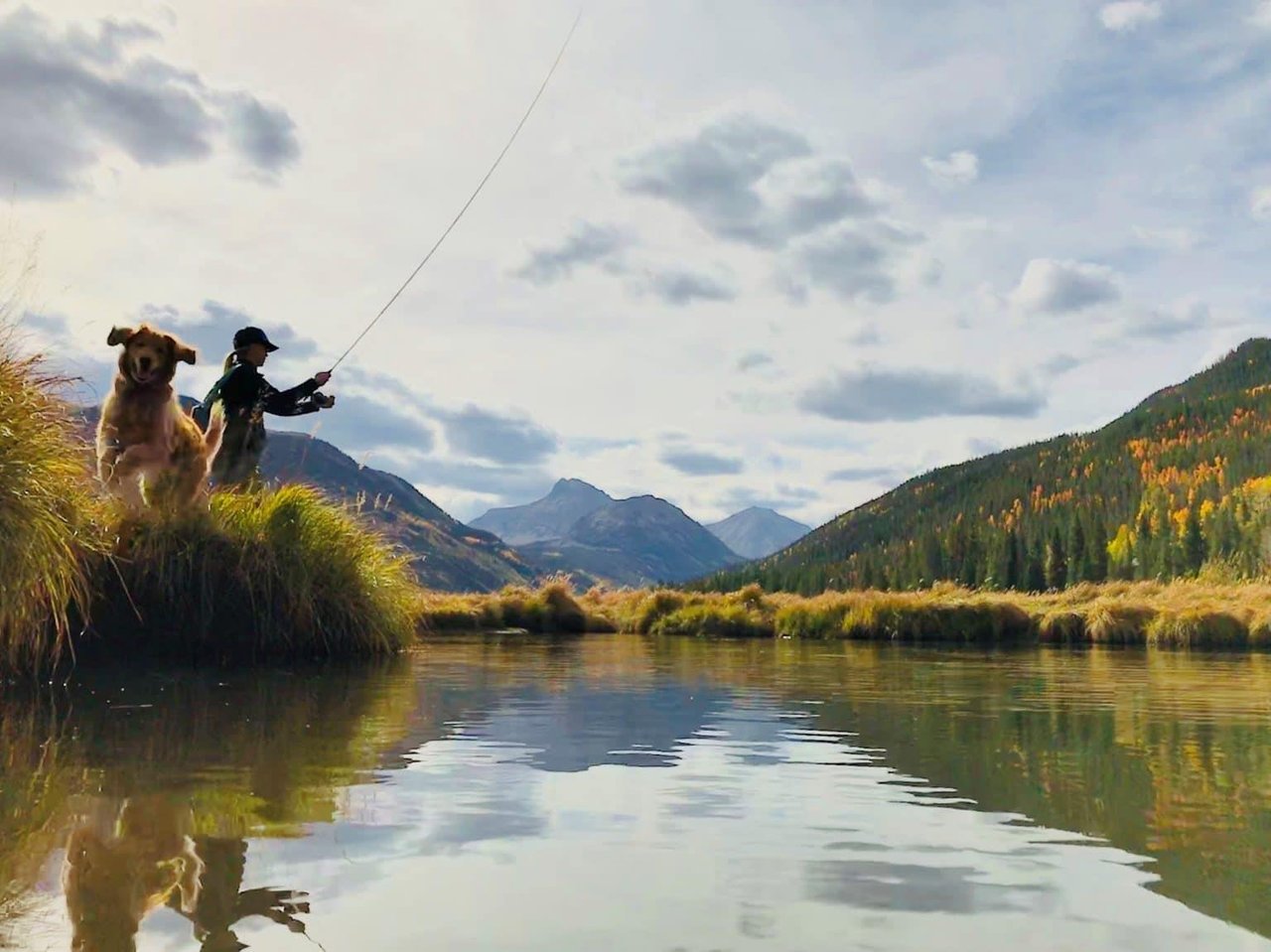 37157 Fly Fishing Dog
