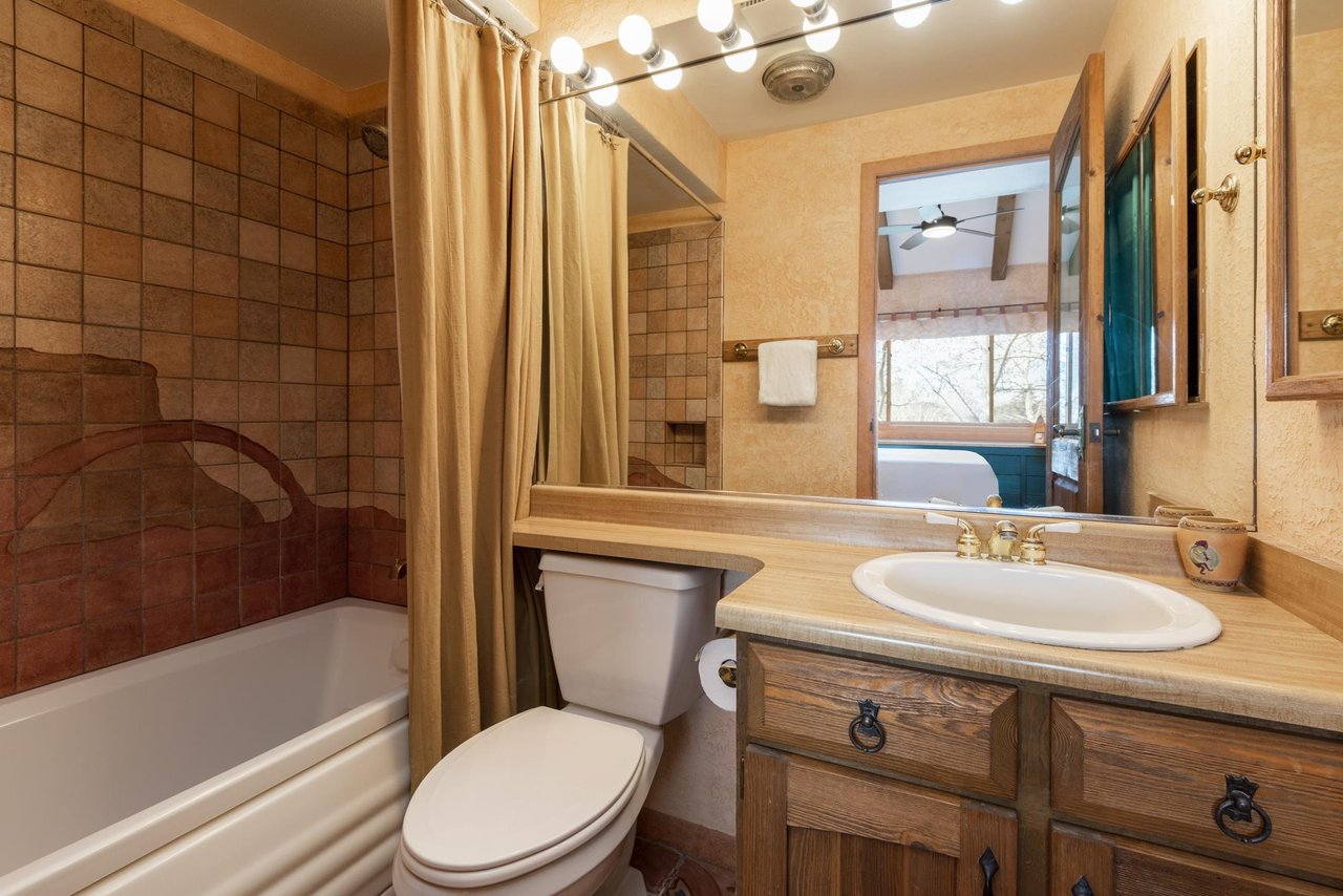 Ensuite full main bathroom