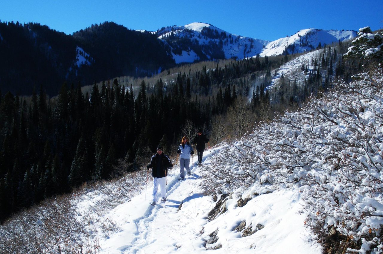 4716953 Familysnowshoeinginparkcity