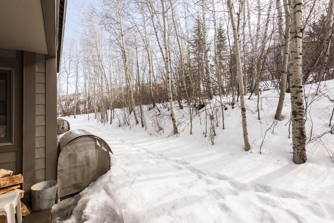 Private Patio on the ground level which is covered in snow and next to an aspen grove.