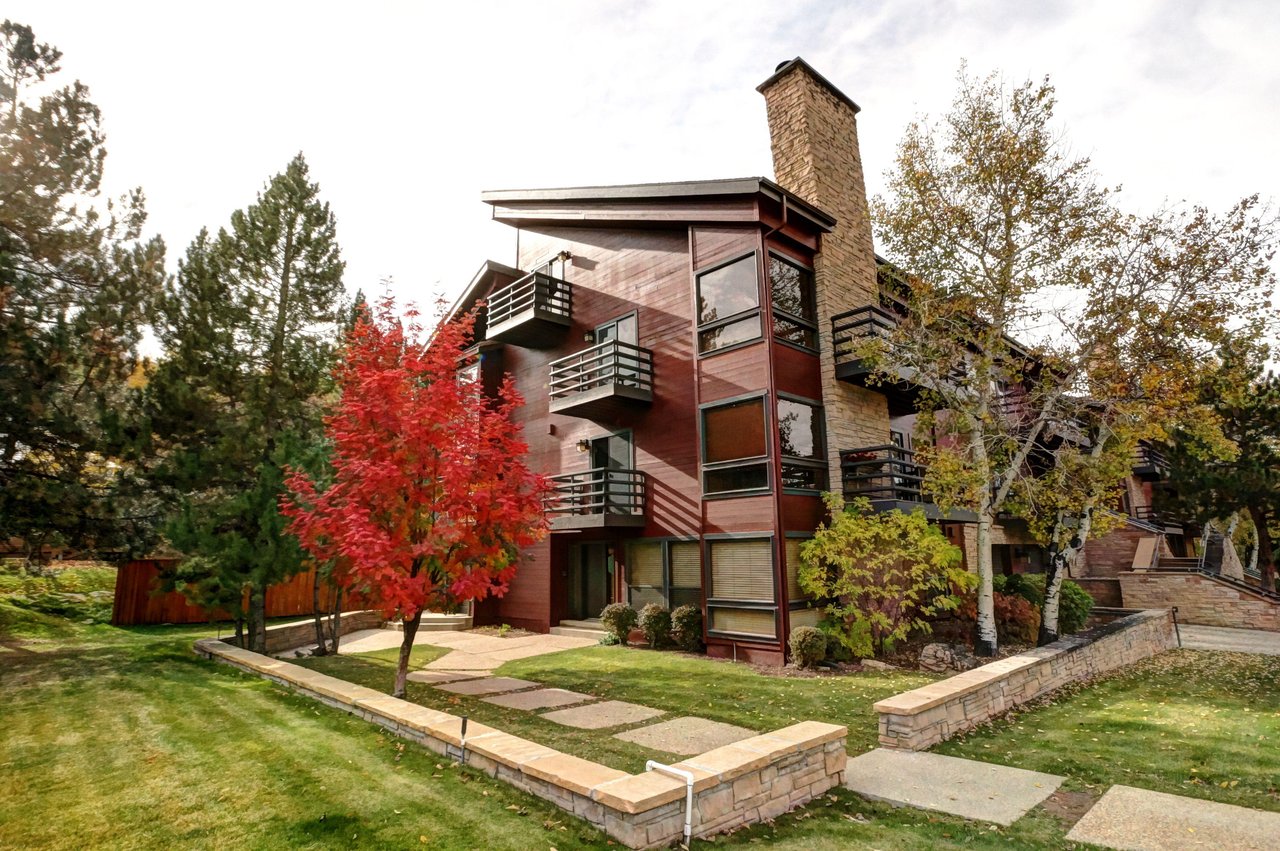 Exterior of building with stone steps among the grass and stone wall with an evergreen tree, aspen, and tree with bright orange leaves