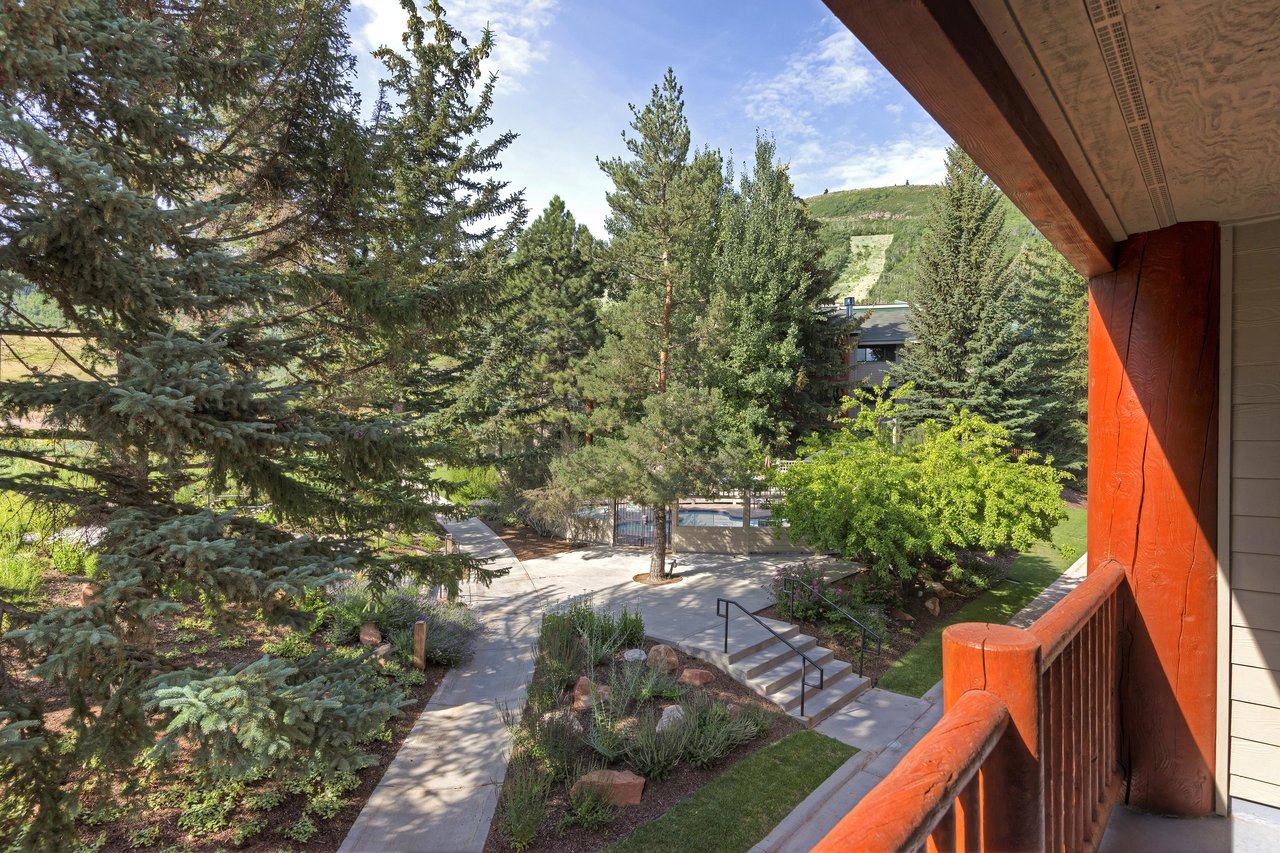 The private patio surrounded be beautiful evergreen trees in the summer.