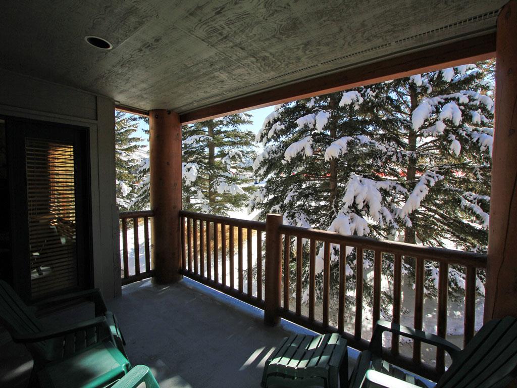 The private patio surrounded be beautiful evergreen trees covered in snow in the winter.