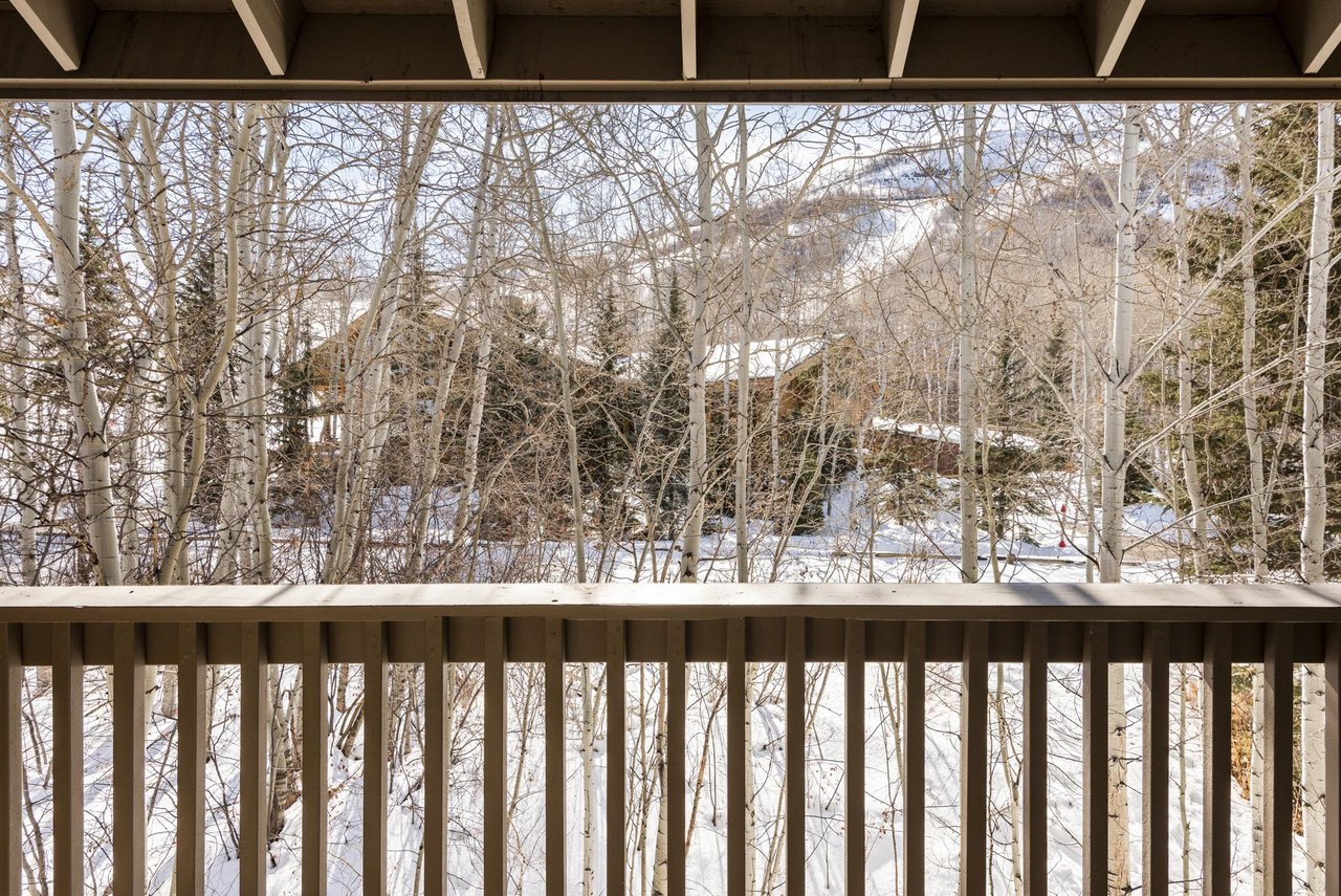 Private patio with views of the aspen trees