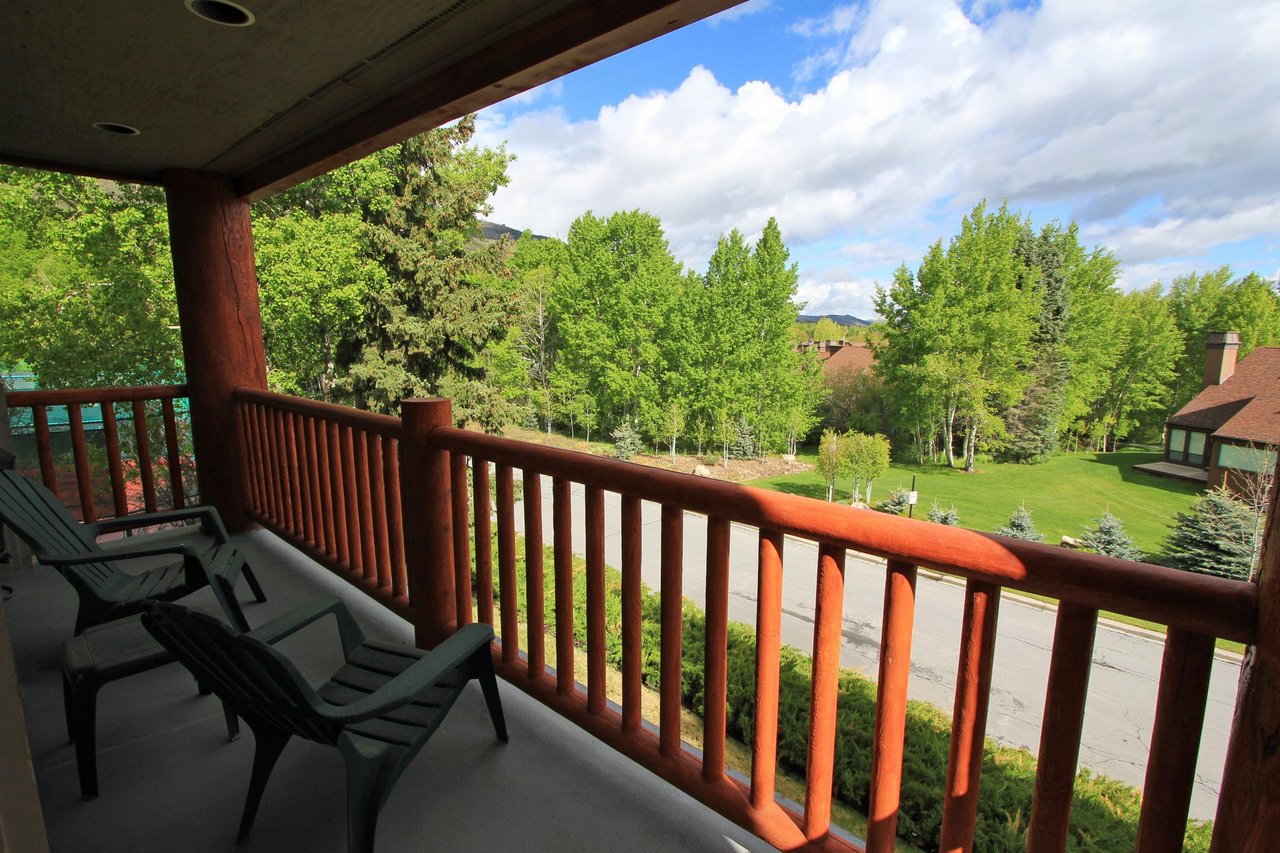 Summer View