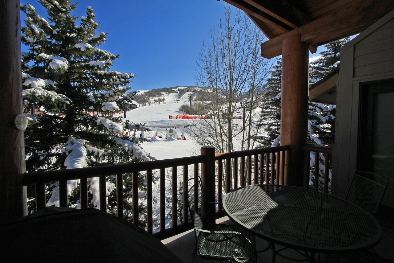 Winter View