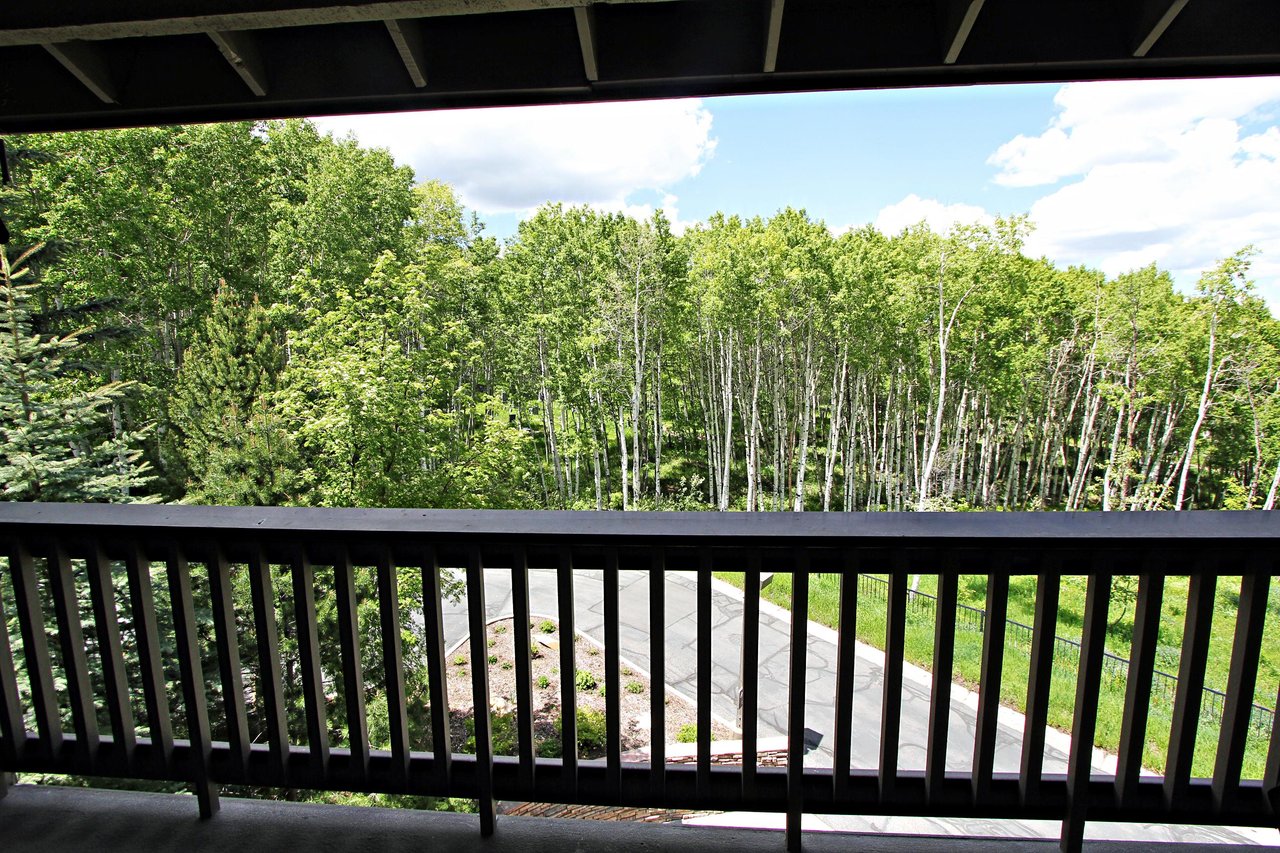 Summer View