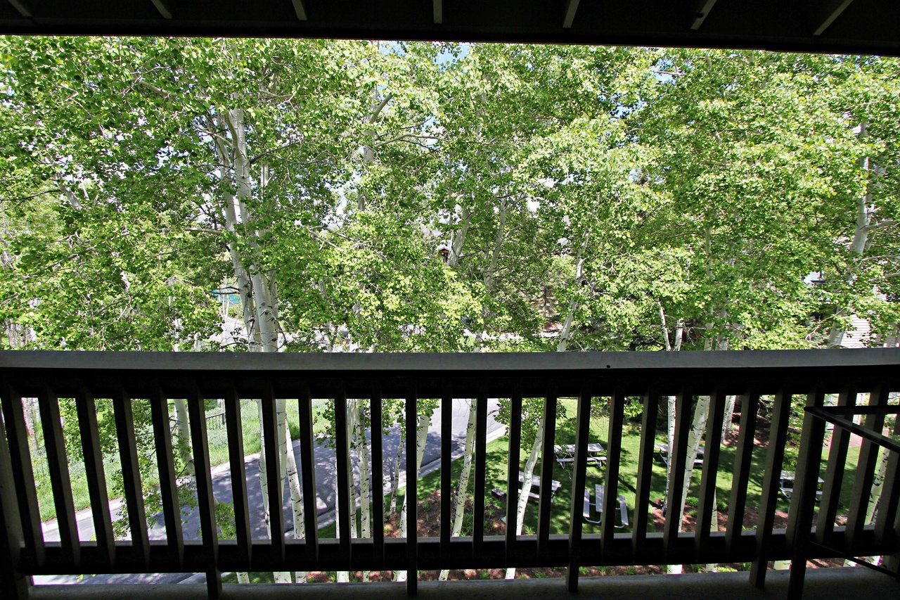 Summer View