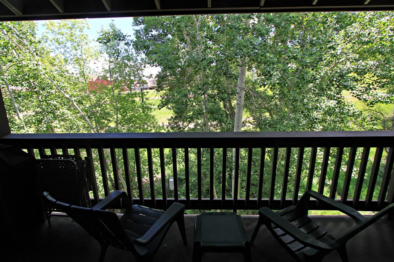 Summer View