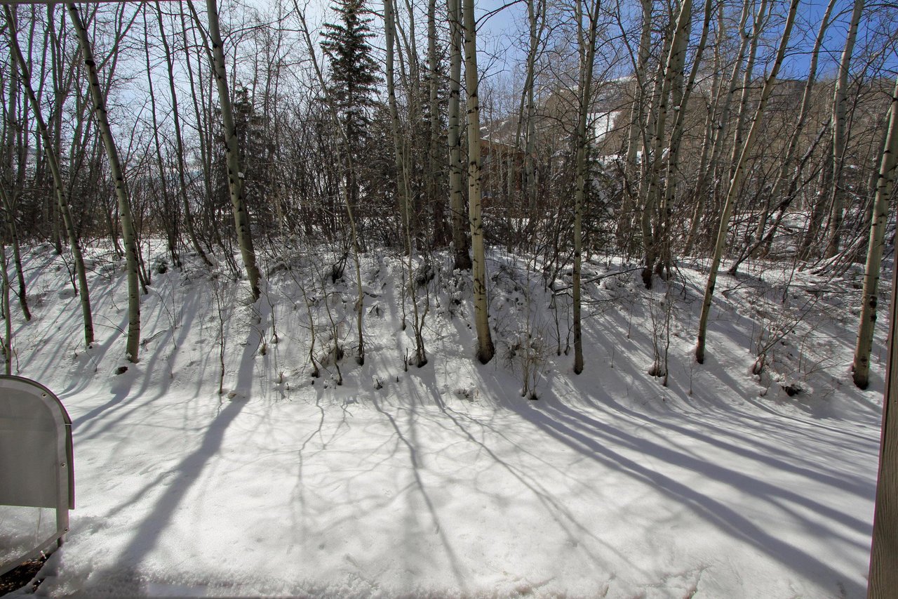 Snow Flower 134 has a private patio that over looks an aspen grove.