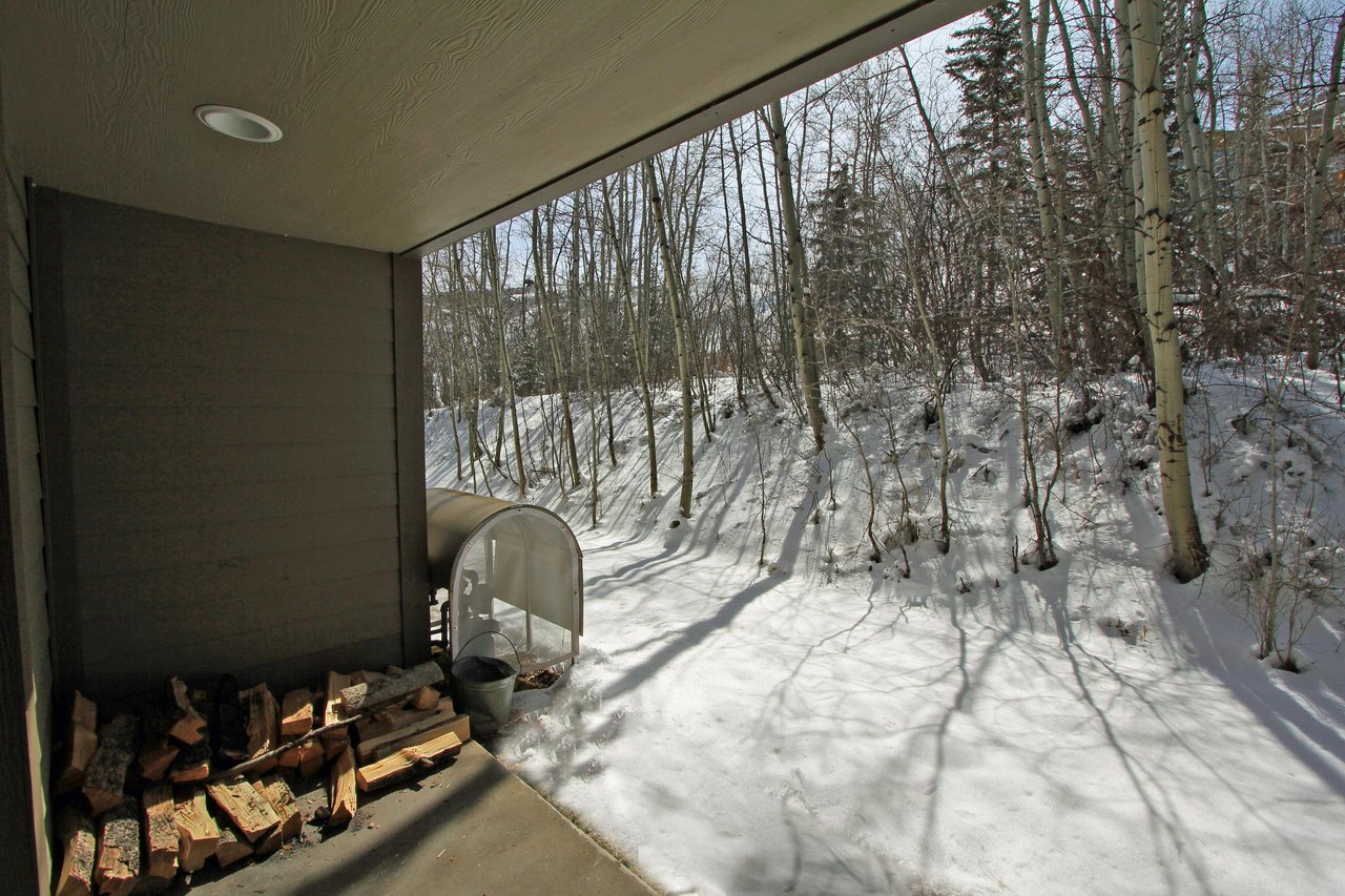 Snow Flower 134 has a private patio that over looks an aspen grove.