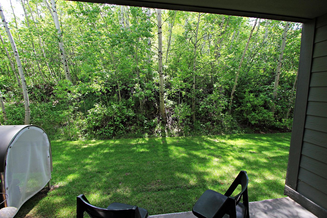 Snow Flower 134 has a private patio that over looks an aspen grove.