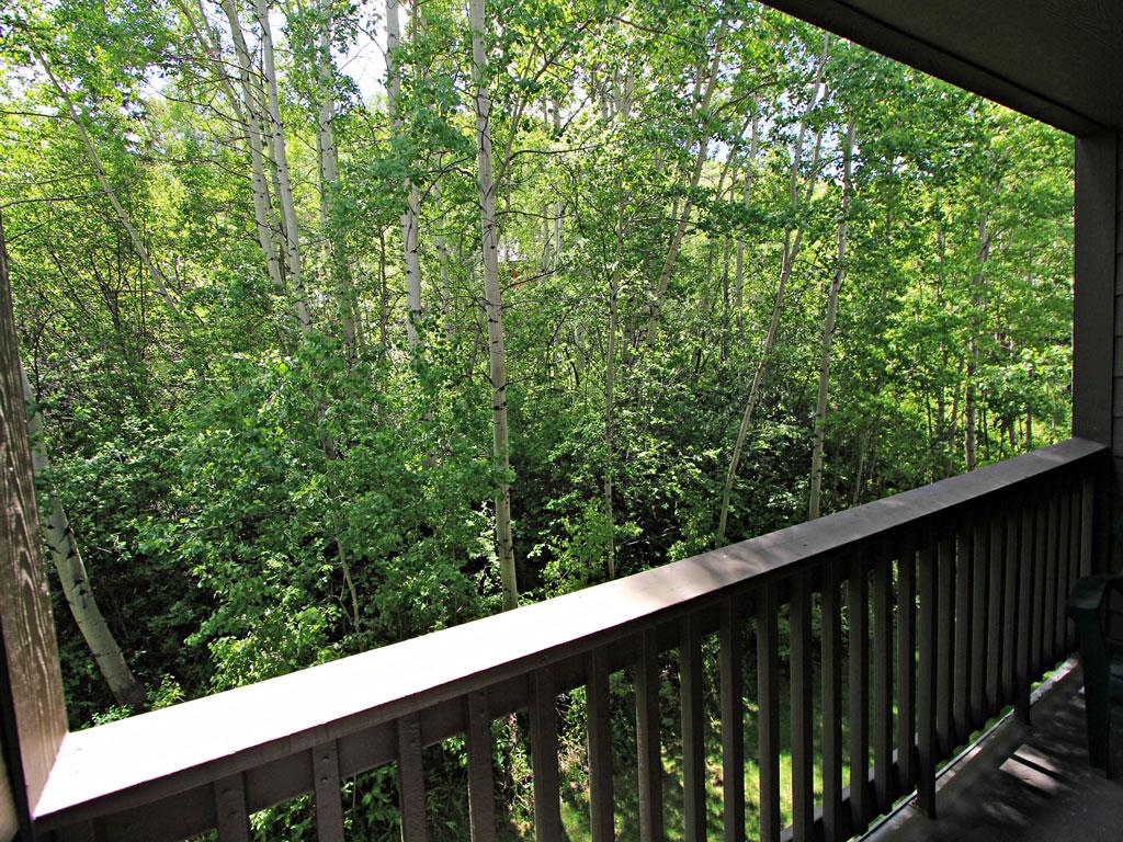 The private deck with gorgeous summer views of the aspen trees.