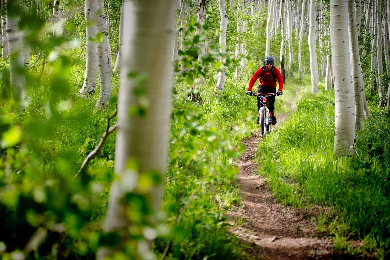 7349258 Summer Biking In Park City