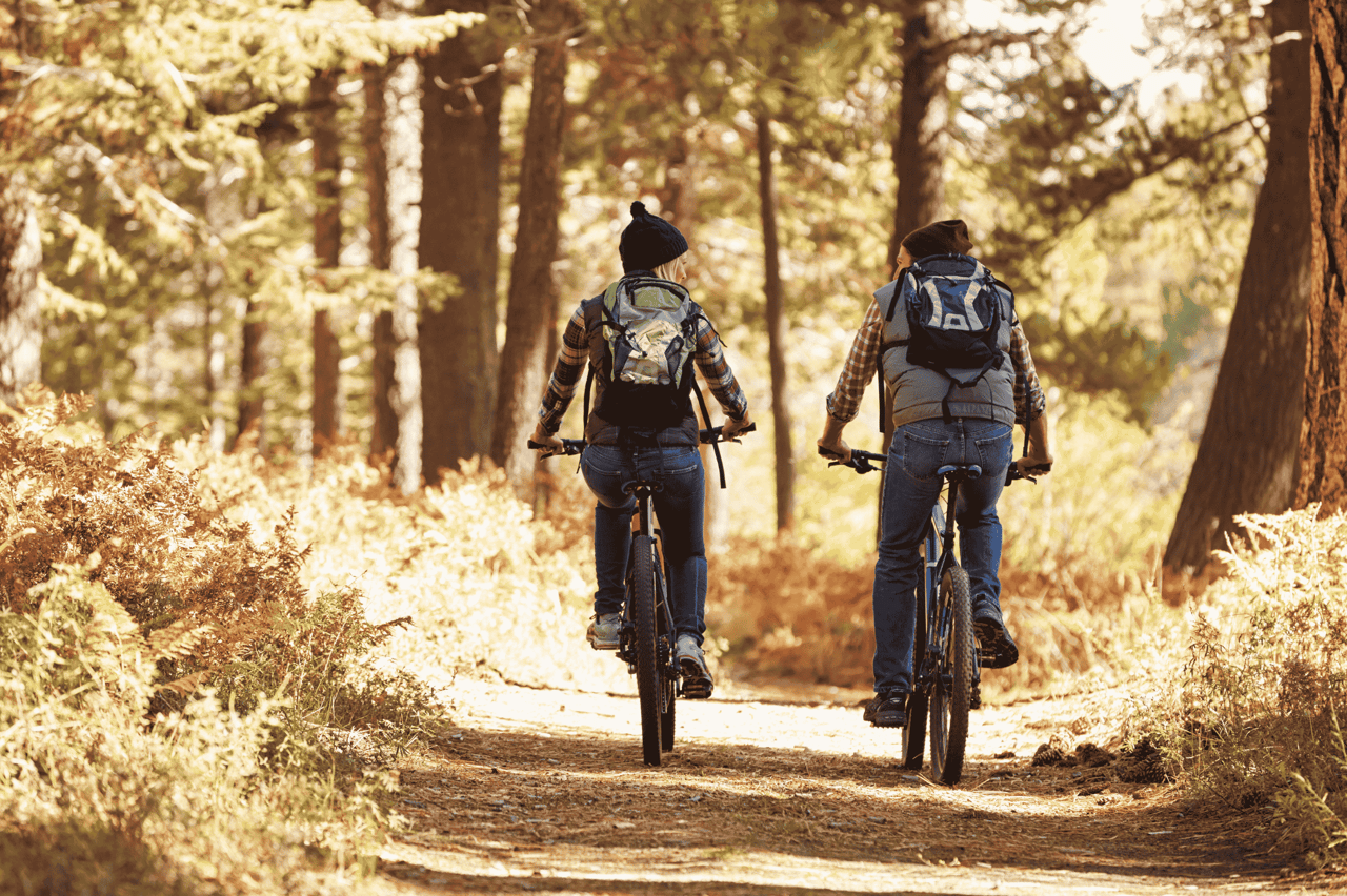 7453335 Fall Biking In Park City