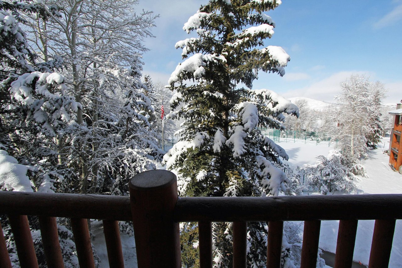 The private patio provides views of the evergreen trees