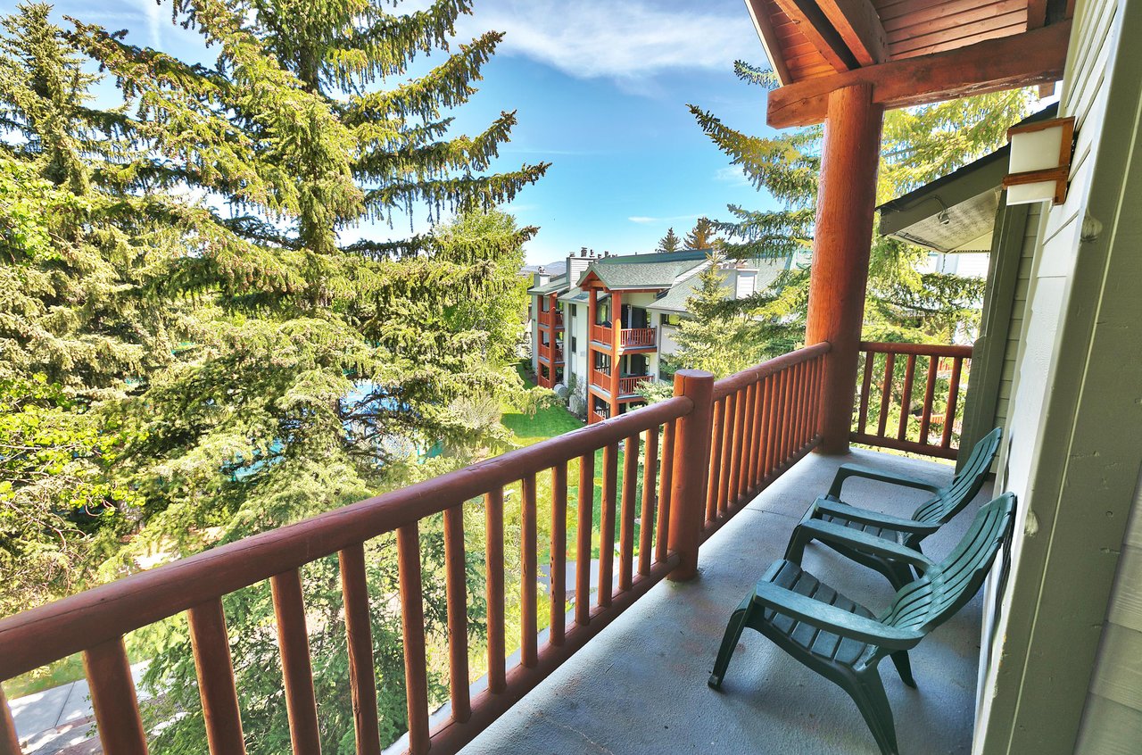 The private patio provides views of the evergreen trees