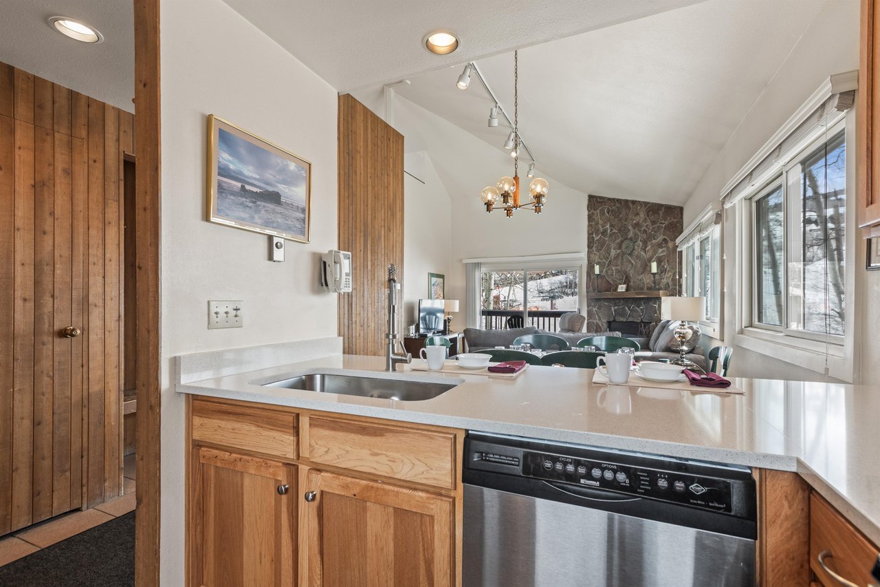 Premier Snow Flower Condominium 130s kitchen sink and dishwasher.