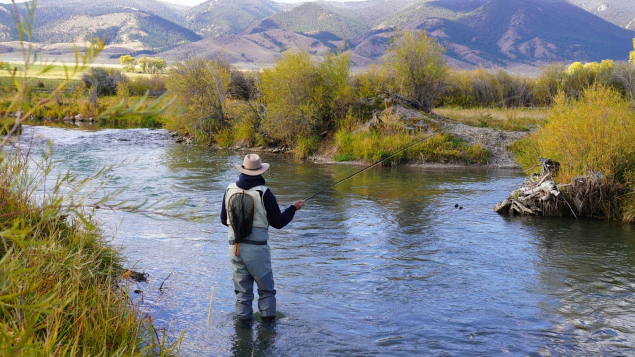 8335597 Utah Fish 3