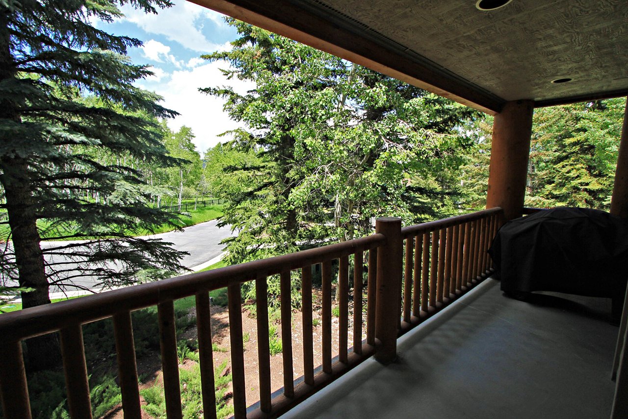 Summer View