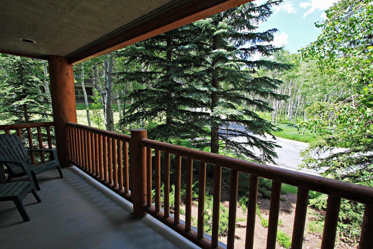 Summer View