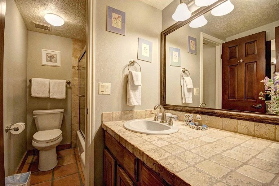 The en suite bathroom has a single sink vanity and separate water closet.