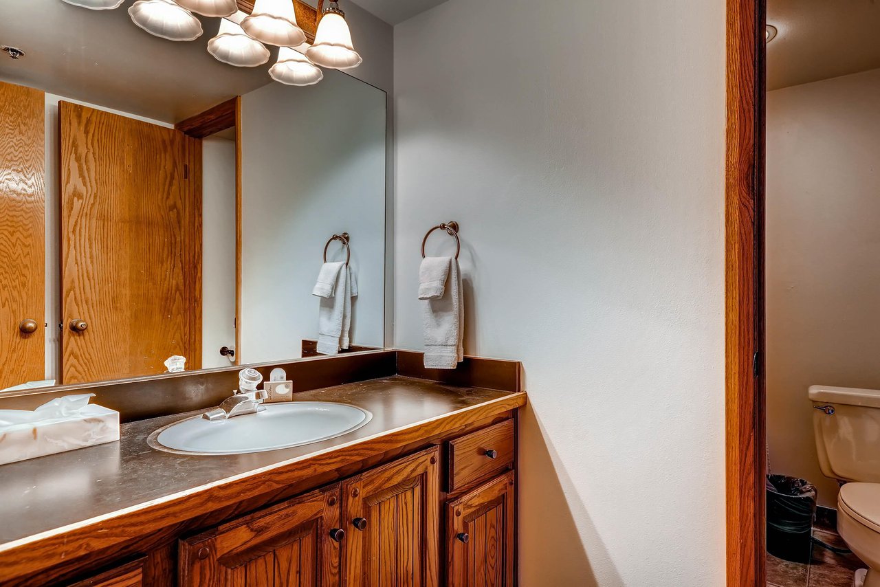 The en suite bathroom has a single sink vanity and separate water closest.