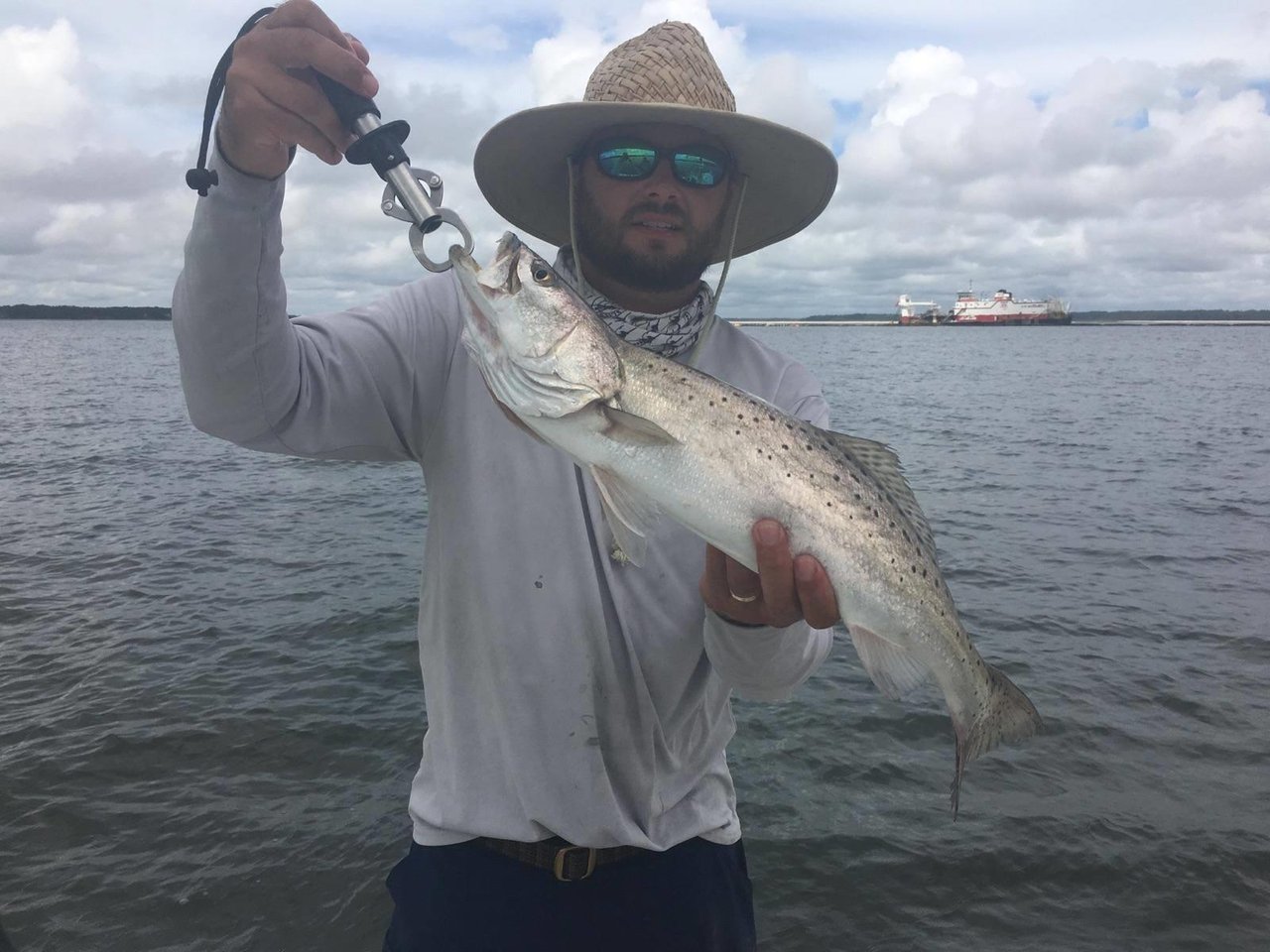 23116 Fish 2