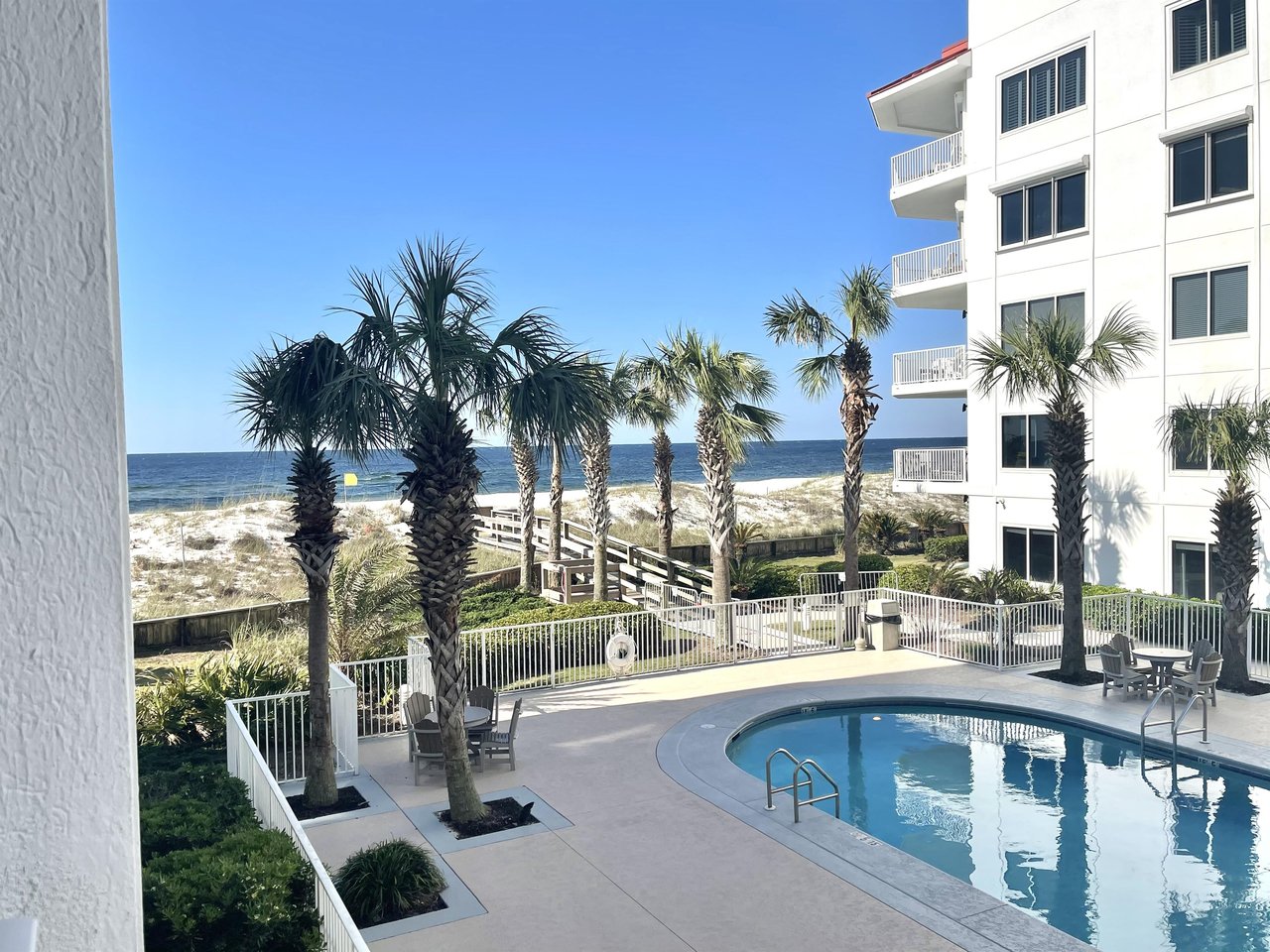 Palm Beach C22 1