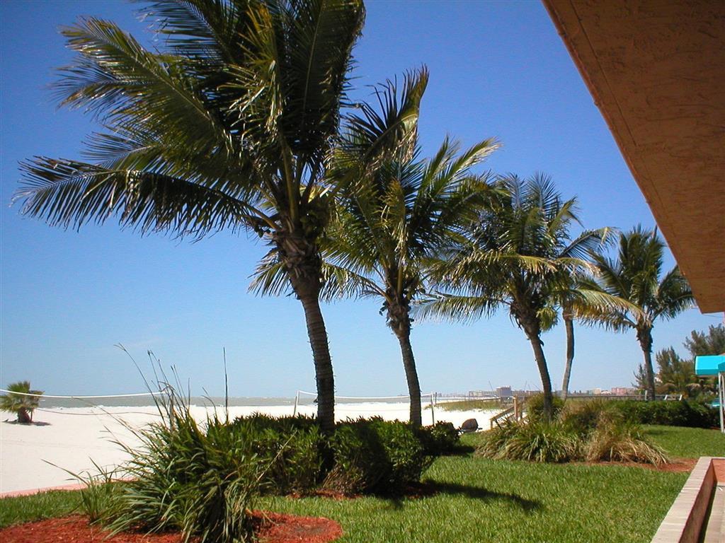 Island Inn Beach Resort in Treasure Island FL 75
