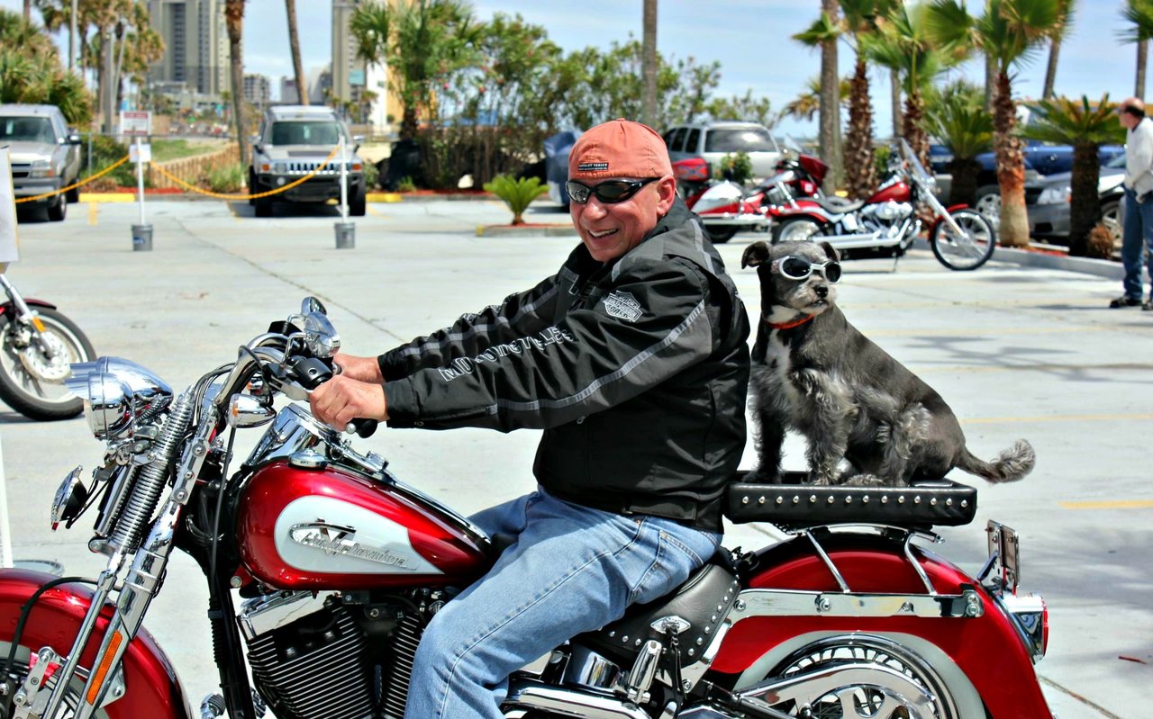 498492 Bikeranddog2atthechateauinpcb
