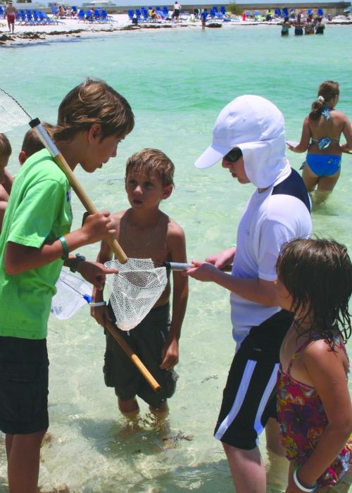 58470 Summerwildcampersdipnetindestinharbor
