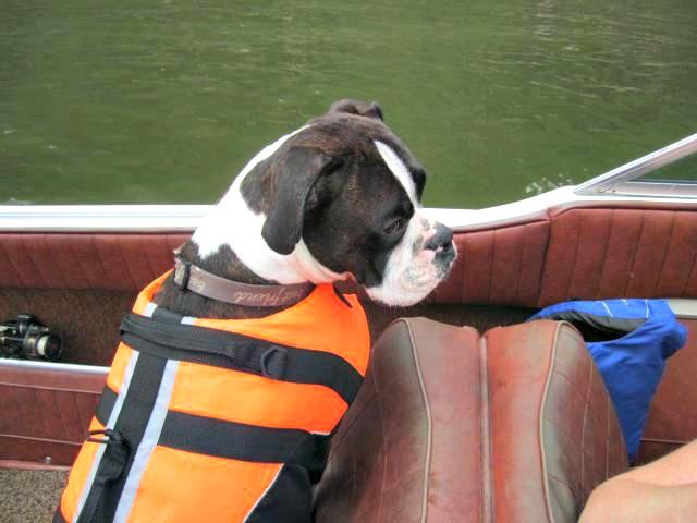 58517 Boatingsafety2012