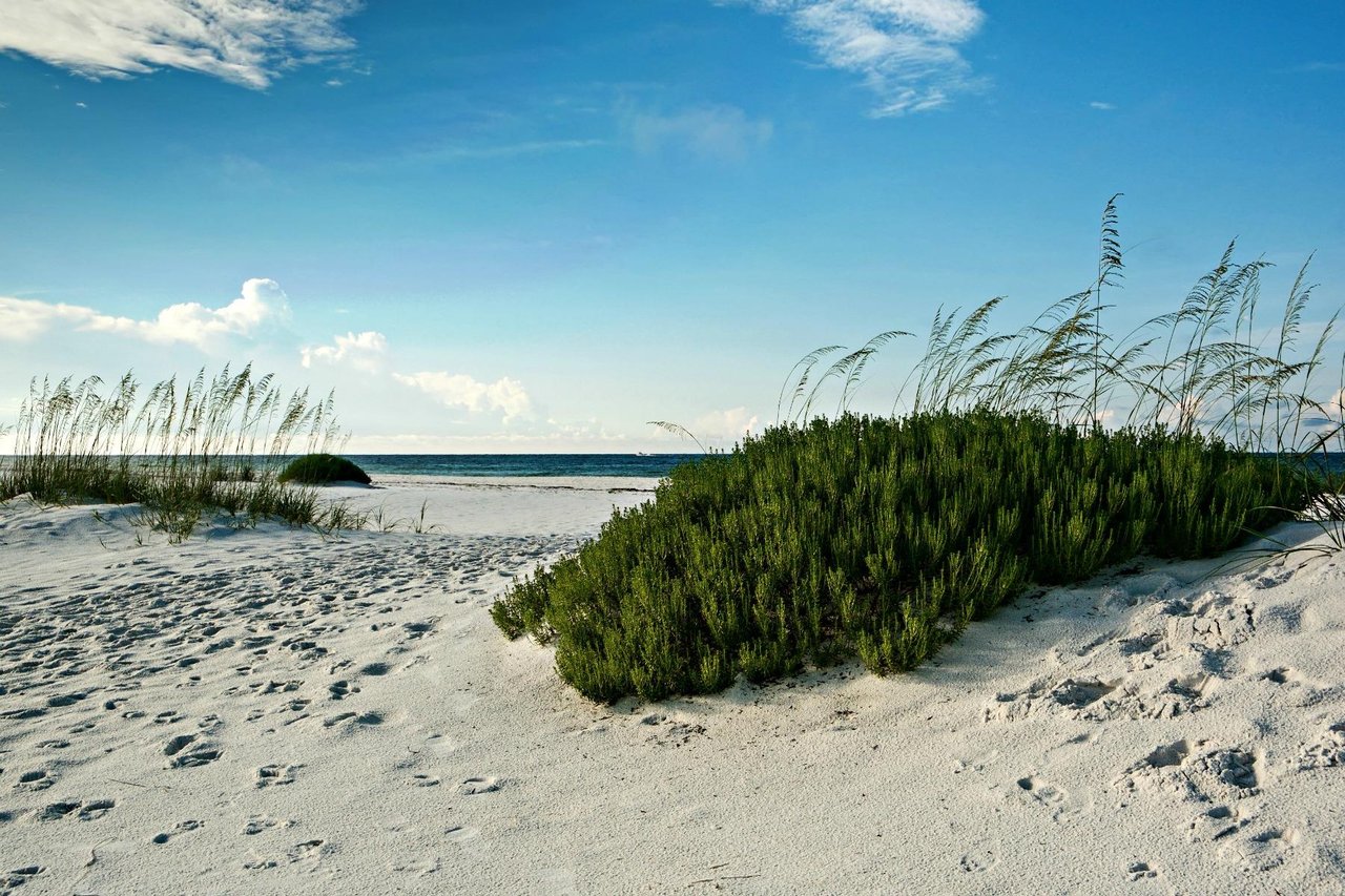 58621 Rosemarybeachmaybeshutterstock